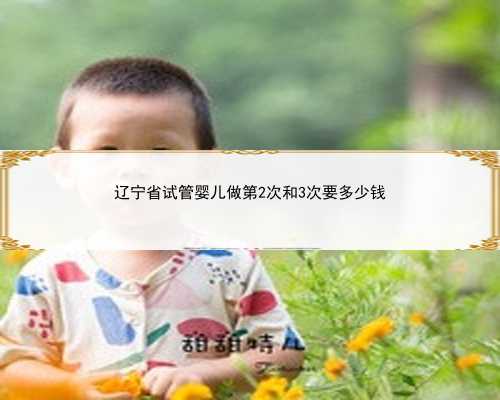 辽宁省试管婴儿做第2次和3次要多少钱